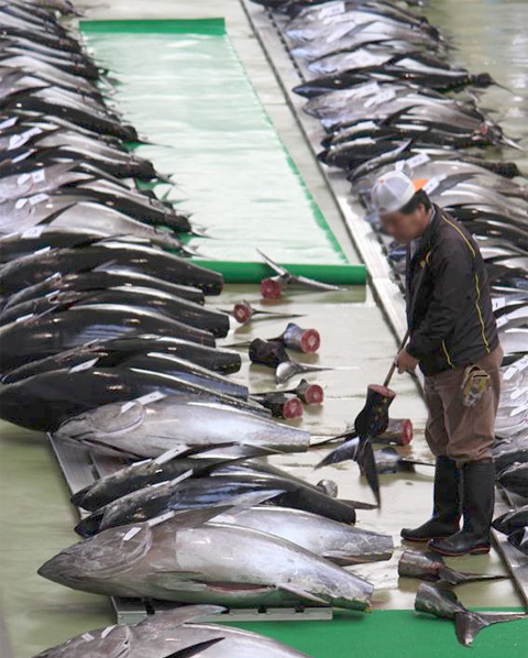 Choshi fishing port