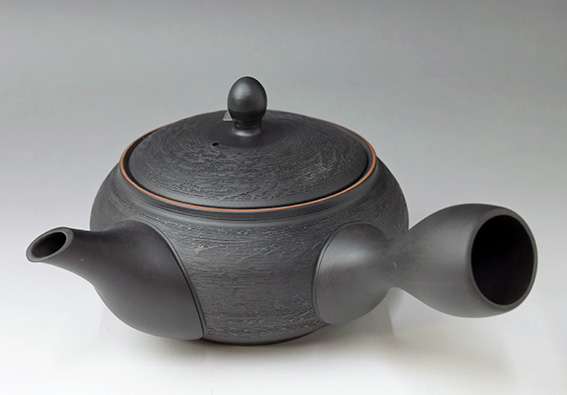 Tokoname teapot by Houryuu